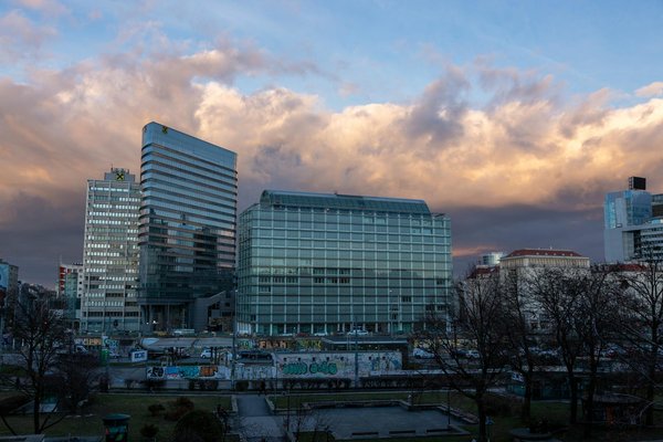 Les 10 sites incontournables pour acheter du chanvre en toute confiance